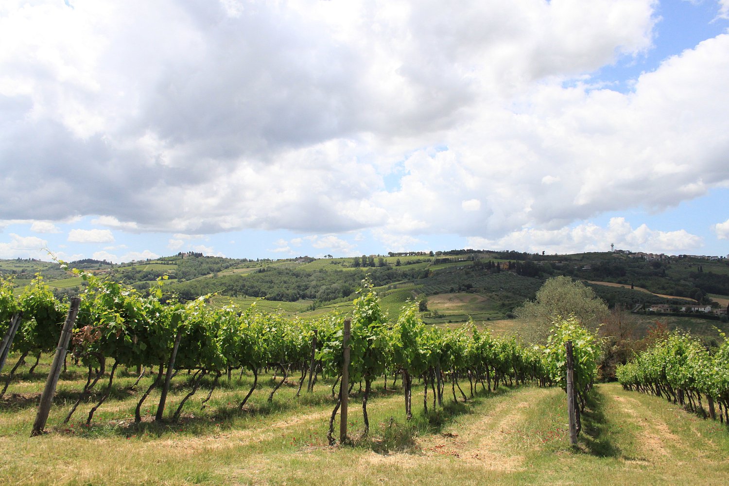 Supertuscan Wine Tour - Masterclass By A Wine Expert Italy Tickets